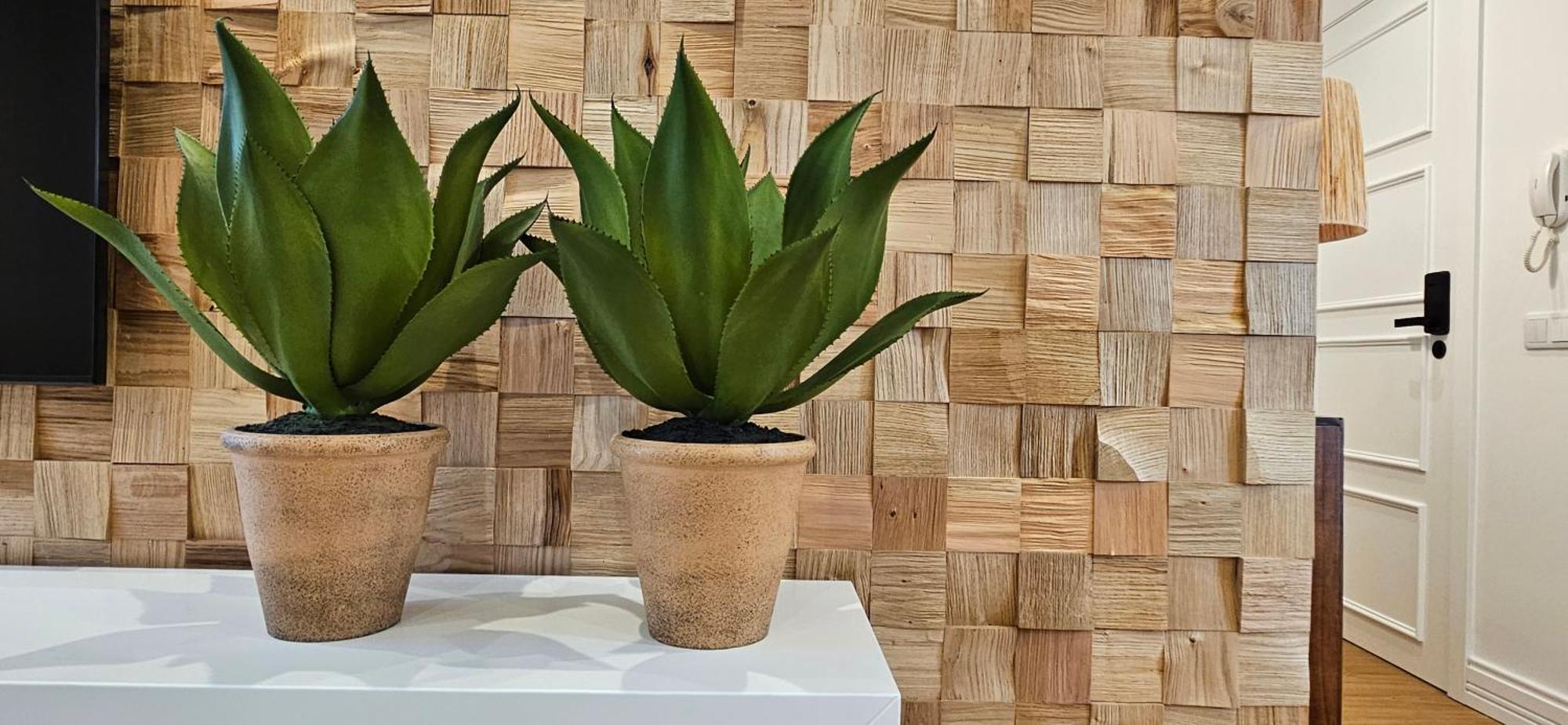 Casa "Avo Chupeta" - Nazare - Alojamento Local 外观 照片